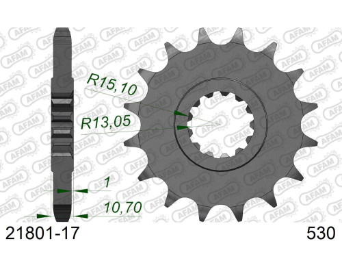 AFAM 2026/04 ZĘBATKA PRZEDNIA 579 17 YAMAHA FZ1 '06-'14, R1 '04-'14, FJ, XJR (JTF579.17) (ŁAŃC. 530)