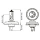 Лампочка BOSCH R2 45/40W 12V P45T - 1 шт.