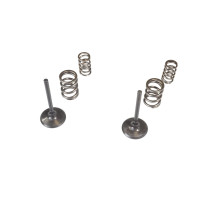 Wiseco kit. впускні клапани + пружини kawasaki kx 450f '09-'10