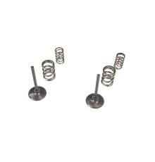 Wiseco kit. впускні клапани + пружини kawasaki kx 450f '09-'10